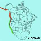 Rhinoceros Auklet range map