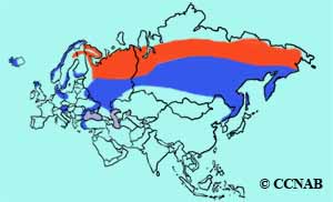 White-tailed Eagle range Map