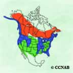 Bald Eagle range map