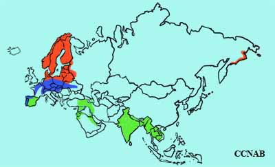 Bluethroat range map