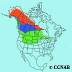 Bohemian Waxwing range map