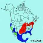 Common Gallinule range map