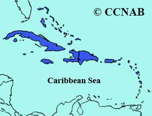 Cuban American Kestrel range map