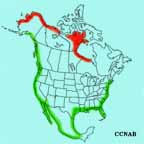 Dunlin range map