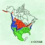 Gadwall range map