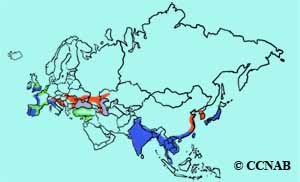 Little Egret range map