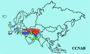 Red-crested Pochard range map