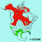 Sandhill Crane range map