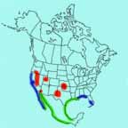 Snowy Plover range map